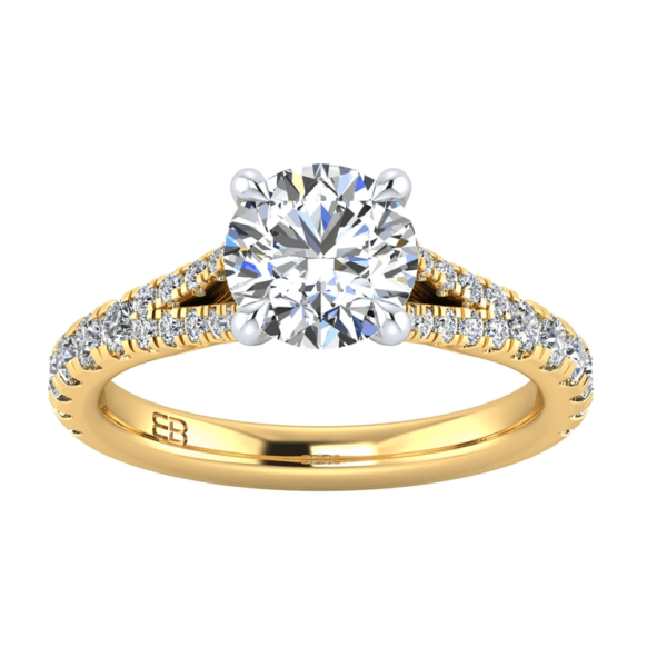 Cathedral Engagement Ring