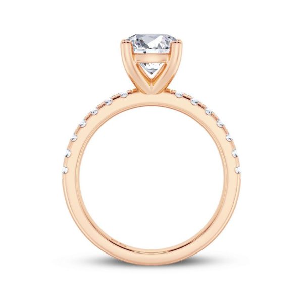 Graceful Chic Engagement Ring