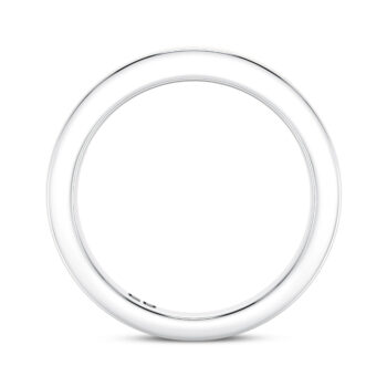 Dainty Lab Half Eternity Ring