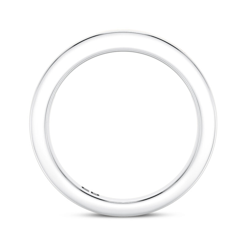 Dainty Lab Half Eternity Ring