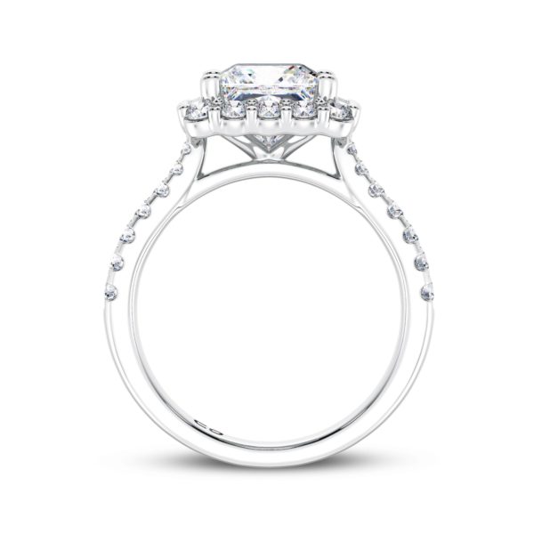 Princess Harmony Engagement Ring