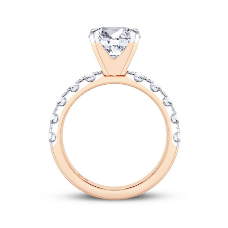 Serendipity Engagement Ring