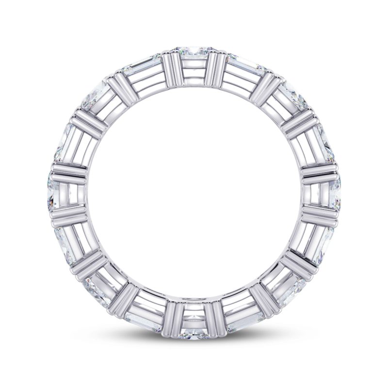 Fancy Trio Eternity Ring