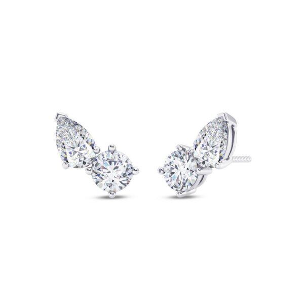 Sparkle Two Stone Earring